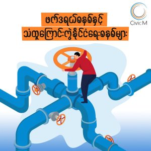 ဖက်ဒရယ်စနစ်နှင့်သံတူကြောင်းကွဲ